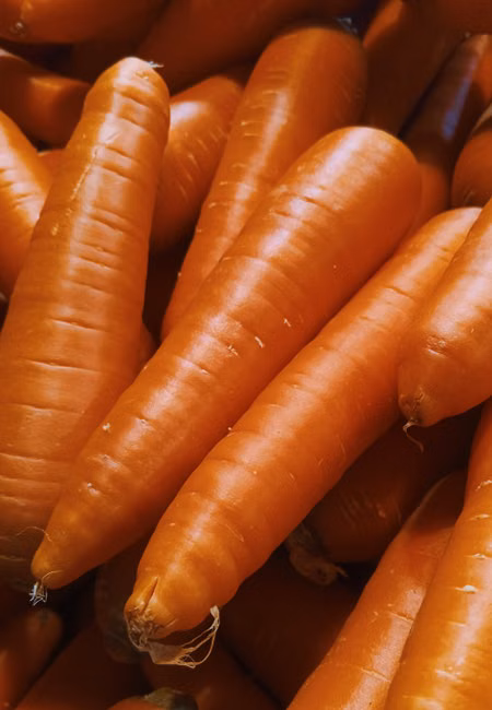 Filé de Peito de Frango (kg)